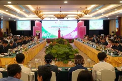 Dong Thap calls for investment from Japan