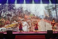 Vietnam - India art exchange held in Lao Cai