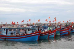 Thai Binh works hard to have EC's "yellow card" against seafood removed
