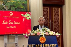 Vietnamese people in China, Cambodia mark Lunar New Year