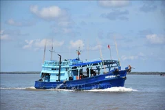 Bac Lieu to increase patrols over IUU fishing