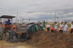 Vietnam aims to use organic fertiliser for 50% of cultivation area by 2050 
