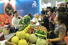 Middle East, North Africa lucrative markets for fruit, vegetable exports
