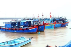 Quang Binh intensifies measures against IUU fishing