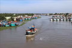 Kien Giang launches emulation campaign to combat illegal fishing