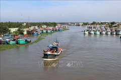 Kien Giang launches emulation campaign to combat illegal fishing