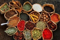 Conference looks for ways to boost exports of herbal products 