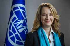 Vietnam commits cooperation with IOM: Ambassador