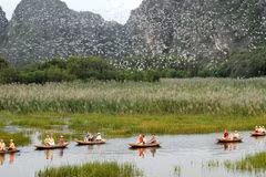 Party’s resolution spurs environmental protection progress: Official