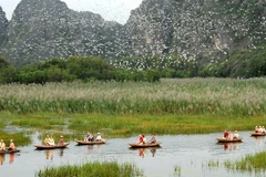 Party’s resolution spurs environmental protection progress: Official