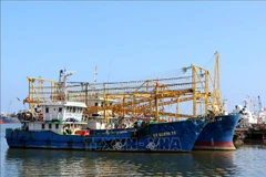Quang Tri conducts peak crackdown on IUU fishing