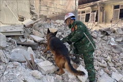 VPA rescue force discovers two additional earthquake victims in Turkey