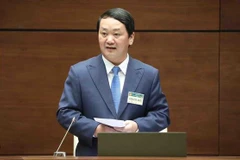 Implementation of ethnic minority-related policies clarified at National Assembly