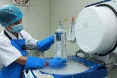 Training programme to transfer autologous stem cell transplantation