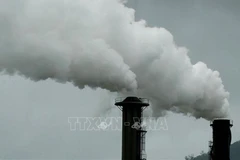 Vietnam makes efforts to develop domestic carbon market
