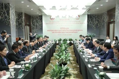 Fronts of Vietnam, Laos augment cooperation