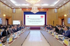 Vietnam-Japan Joint Initiative plays role in raising Vietnam’s FDI attractiveness: meeting 