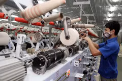 GSO head points to factors affecting Vietnam’s efforts to curb inflation