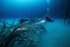 Last undersea Internet cable connecting Vietnam with the world breaks down