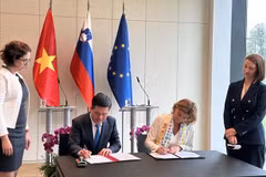 New momentum for Vietnam-Slovenia collaboration
