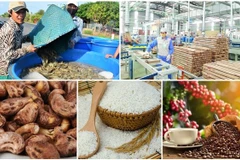 Agro-forestry-aquatic products post trade surplus of 4.63 billion USD in H1