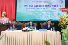 Vietnam’s coconut industry eyes 1 billion USD in export turnover