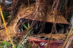 Bodies of three Lam Dong landslide victims found