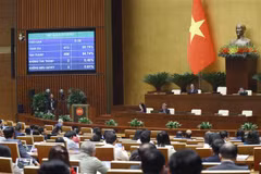 National Assembly passes Law on Telecommunications