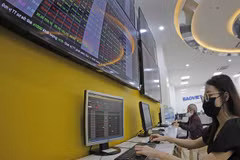 Companies’ profit growth may cool down but market sees potential