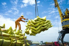 Ministry works to ensure rice export 