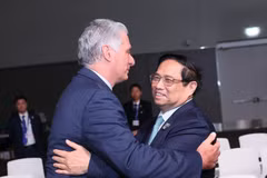 Vietnamese PM meets leaders of Cuba, WB, Sweden at COP28
