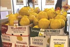 Quality–based branding of fruits and vegetables to tap opportunities of UKVFTA for export expansion