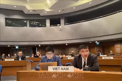 Vietnam commits clean energy transition: Trade counselor 