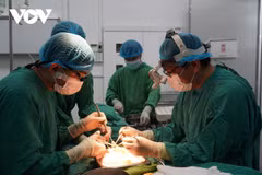 Number of organ donors highest in Cho Ray Hospital