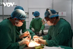 Number of organ donors highest in Cho Ray Hospital