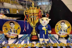 7th World Vovinam Championship opens in HCM City