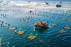 Vietnam, Norway promote cooperation in marine aquaculture