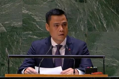 Vietnam calls for end to acts of violence, avoiding casualties for civilians in Gaza Strip