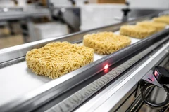EU relaxes food safety regulation for Vietnamese instant noodles