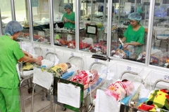 Vietnam to welcome 100 millionth citizen in April