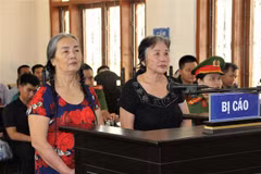 Ha Tinh women imprisoned for violating State’s interests