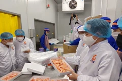 Vietnamese shrimp exporters see profits in 2022 thanks to FTAs