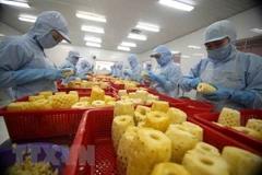 Vietnam-Laos trade turnover hit 99.2 million USD in January
