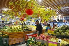Hanoi’s January CPI moderately increases