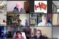 Webinar spotlights President Ho Chi Minh’s thought in foreign policy