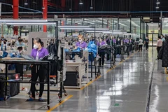 Trade Office helps Vietnamese firms grasp opportunities in Canadian market