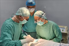 Thua Thien-Hue: cleft palate children offered free surgery