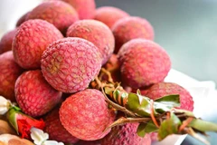Vietnamese fruits hold lion’s share in Australian market 