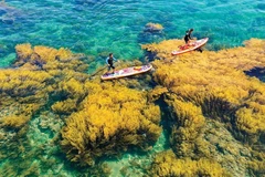 Sea and island tourism a ‘gold mine’ that needs to be tapped fully