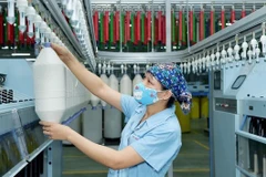 ADB, Switzerland aid fintech development in Vietnam